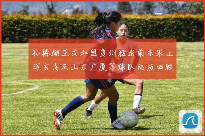 孙椿棚正式加盟贵州猛龙前东家上海玄鸟及山东广厦等球队经历回顾
